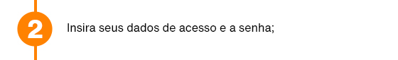 Insira seus dados de acesso e a senha;