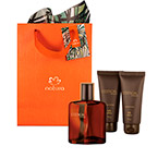 Presente Natura Essencial Intenso Masculino - comprar online Presente Natura Essencial Intenso Masculino - comprar online