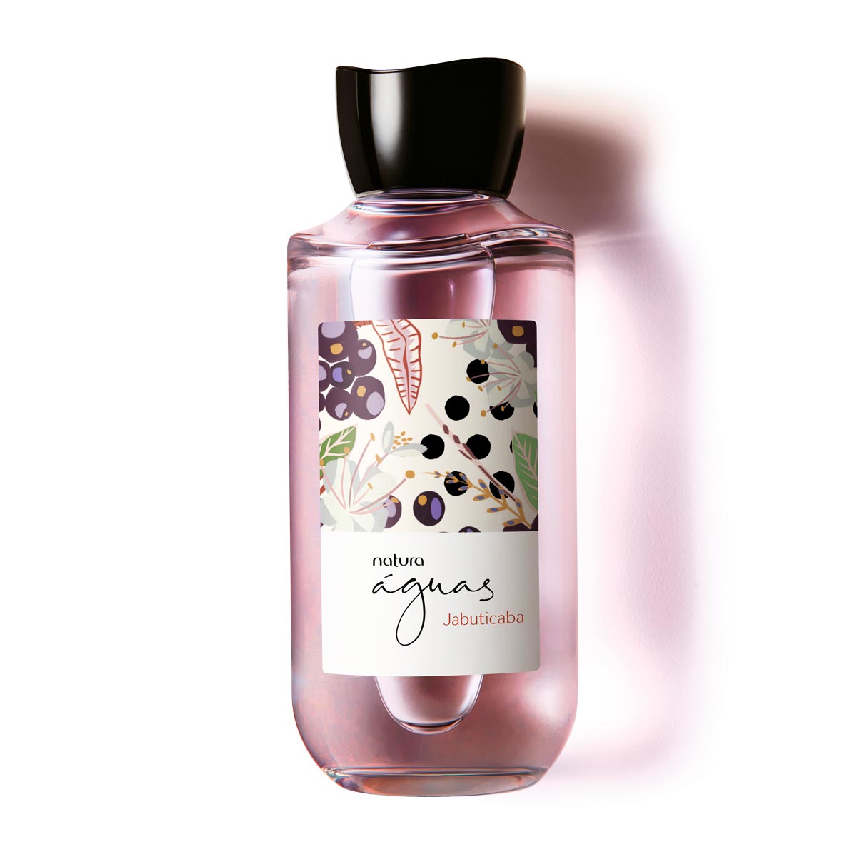 95643  Aguas Des Col Jabuticaba 170Ml - comprar online